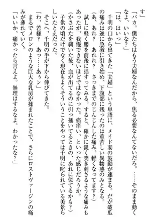 年上メイドの新婚日記