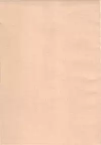 [Tololinco (Tololi)] Dream to Issho! | With Dream! (Yes! Precure 5) [English] [Fated Circle]