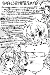 (C78) [Marin (Suzusato Rinka, mage)] Chippoke na Purezento (Ranma 1 2) [English] [_ragdoll]