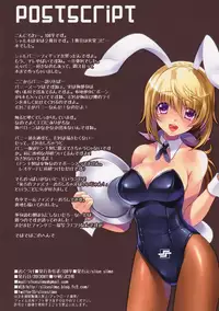 (C84) [slice slime (108 Gou)] Hatsujou Usagi no Shitsuke Kata | How To Train Your Rabbit (IS <Infinite Stratos>) [English] [Rapid Switch]