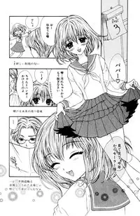 Darenimo Ienai Maru himitsu + vol.12 Forbidden Love