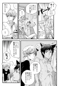 (C88) [QQaid (Nekoyama Kuro)] Jukebox #03 (Kuroko no Basuke)