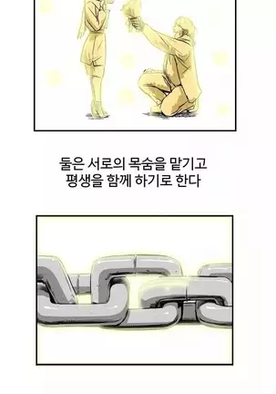 Chauffeur Service Ch.1-30.5