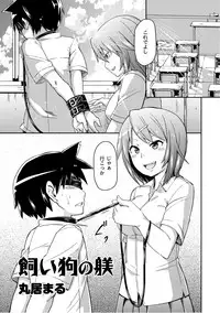 Comic PLUM 2010-10 Vol.17 [Digital]