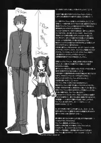 (COMIC1☆6) [FRAC (Motomiya Mitsuki)] PLAYING STRAY SHEEP (Fate/Zero)