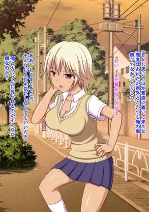 Namaiki na Class no Joshi ga Ore no Tsugou no Ii Namahame Senyou Kanojo ni Naru made