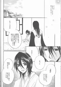 (C73) [Utsumuki Garden (Aotsuki Kakka)] Sputnik (Bleach)