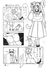 [Sumomo Dou(Sumomo Pink)] PURPLE TOWN