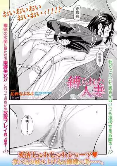 [Namaribou Nayonayo] Shibarareta Hitozuma (Web Comic Toutetsu Vol. 96) [Chinese]