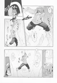 [Article 60 of Criminal Code (Shuhan)] Tuberose. (Skies of Arcadia)