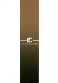 (C89) [S.S.L (Yanagi)] Rider-san to Kuro Stocking. (Fate/stay night) [Chinese] [我尻故我在個人漢化]