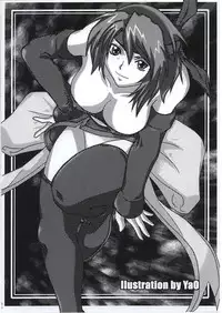 (C62) [NINE TAIL (GRIFON, YaO.)] Toraware Koneko (King of Fighters, Dead or Alive)