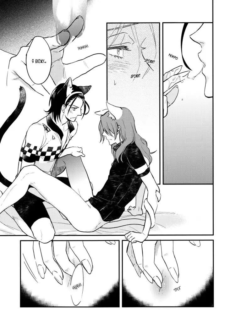 Green, black cat and rut