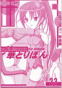 (C72) [HANA TO RIBON (Puripuri Uemon)] Seinen Hana To Ribon 23 (Sky Girls)