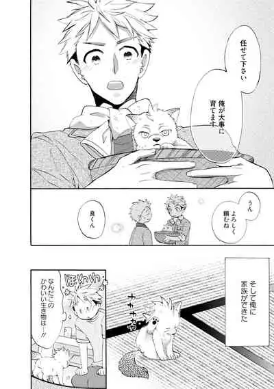 Wolves and Erotic Things