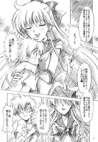 (C74) [Kotori Jimusho (Sakura Bunchou)] chanson de I'adieu 3 (Sailor Moon)