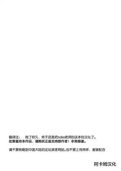 [Cheeseyeast (Naka)] Yumewatari no Mistress night 8 [Chinese] [阿卡姆汉化] [Digital]