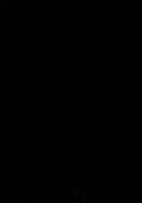 (C89) [Ash Wing (Makuro)] BF IV