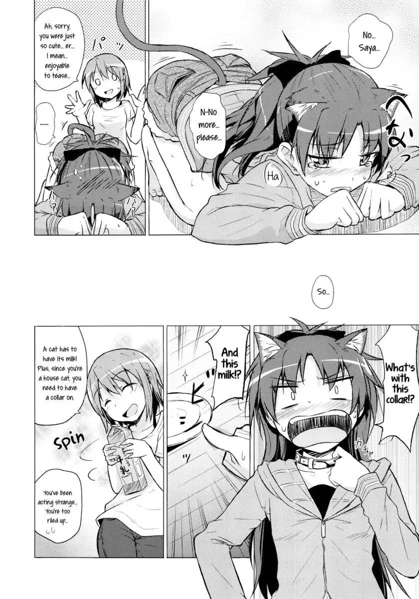 My Companion Became a Cat