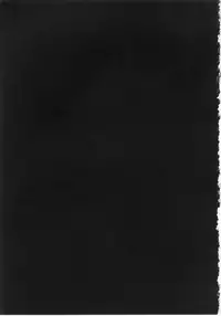 (FF20) [大飛飛走了(大飛)] RION FEVER [Chinese]