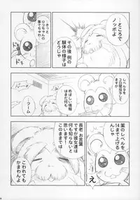 (C66) [Furaipan Daimaou (Chouchin Ankou)] ESCAPE FROM THE PLANET OF THE HAMS (Hamtaro)