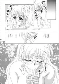 [Chandora, Lunch Box (Makunouchi Isami)] Lunch Box 36 - Ninjin Full Course (Pia Carrot)