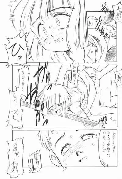 (C46) [PROJECT TAKE 4 (Nekogen)] Aru Imi Hidoi Hon