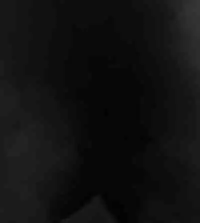 Female Students Working Part-Time In Prison