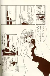 (C62) [BLUE GARNET (Serizawa Katsumi)] BLUE GARNET XIV SKY (SKYGUNNER)