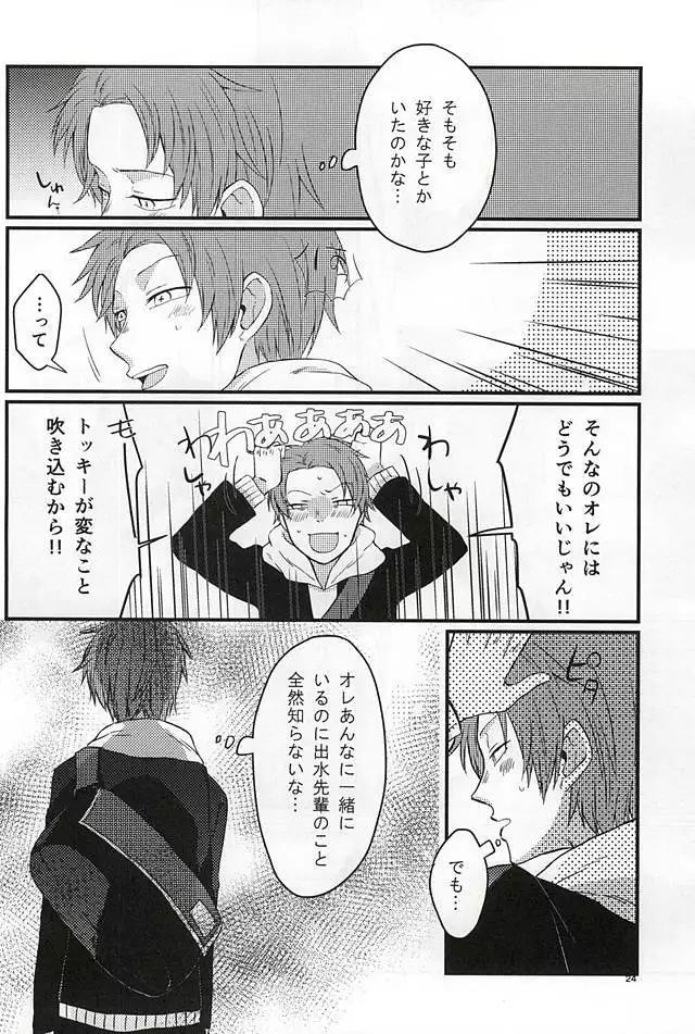 Polaris no Otoshita Namida