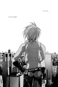 [Maki Murakami] Gamerz Heaven Director's Cut Volumes