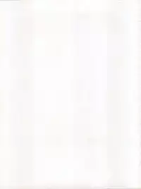 (C56) [SXS (Hibiki Seiya, Ogami Wolf, Ruuen Rouga)] COCONUT MILK (To Heart)