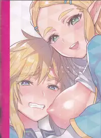 (C93) [Morittokoke (Morikoke)] Hyrule Hanei no Tame no Katsudou! (The Legend of Zelda)