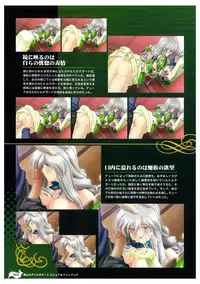 Ikusa Otome Valkyrie 2 Visual Fanbook