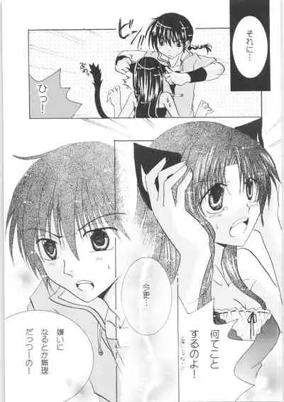 [RxA Supremacist (Yagami Raimu, Morisaki Yoshino, Kisaragi Mizuka)] Iinazuke ga Neko ni Narimashite. (Ranma 1/2)