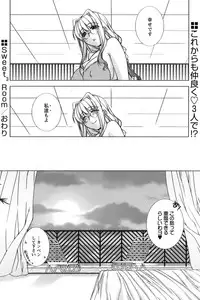 Comic Papipo 2006-09