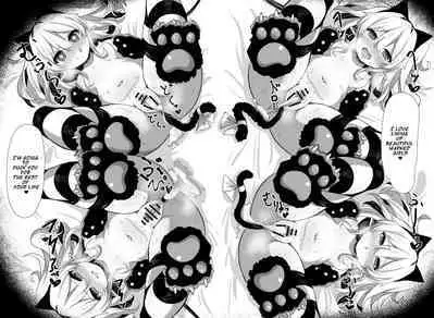 Flan-chan Tanetsuke Koubi Nisshi