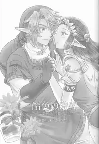 (SUPER25) [Sakurakan (Kaidou Mizuki)] Ameiro no Jikan (The Legend of Zelda)