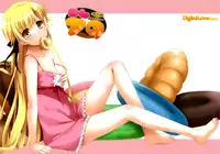 (C84) [Digital Lover (Nakajima Yuka)] D.L. action 79 (Bakemonogatari) [English] [The Lusty Lady Project]