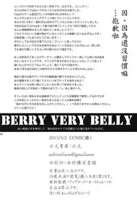 (COMIC1☆9) [Un-moto Shoko (Un-moto)] BERRY VERY BELLY (Fate/stay night) [Chinese] [wl00314824個人漢化]