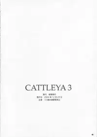 (C67) [Yakan Hikou (Inoue Tommy)] CATTLEYA 3 (Fate/stay night)
