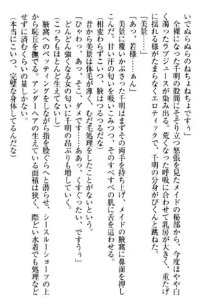 年上メイドの新婚日記
