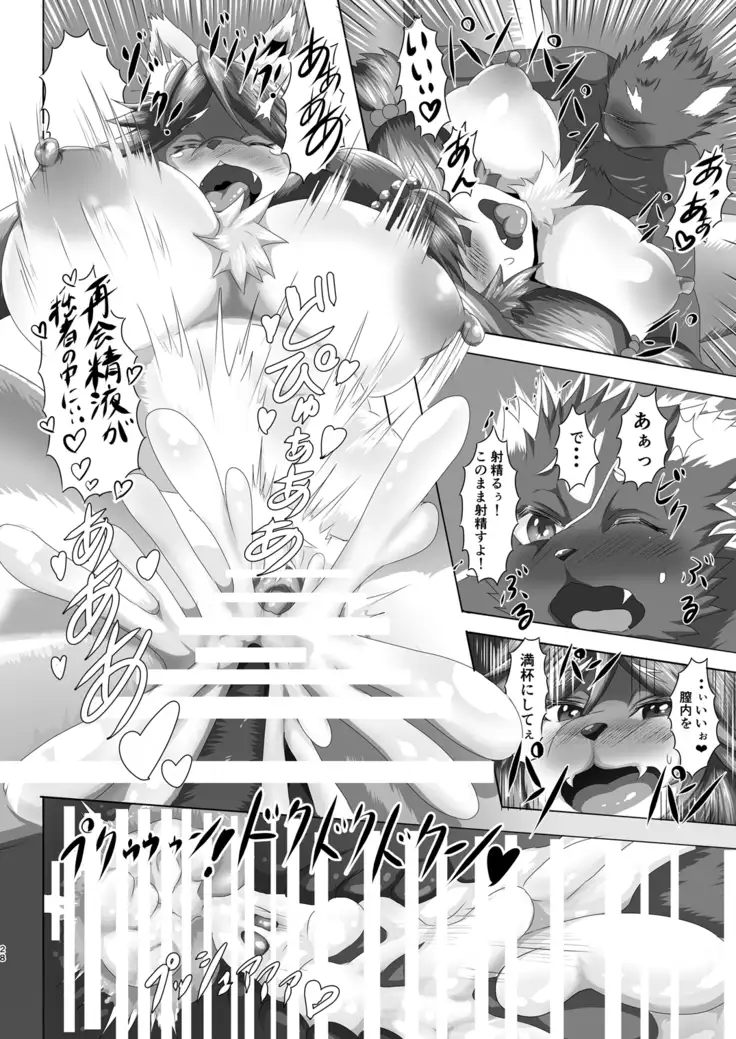 Samurai Onna to Ninja