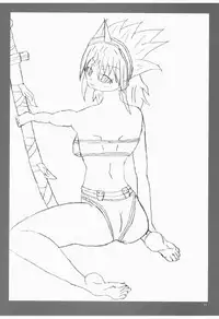 (C76) [Kesshoku Mikan (Anzu, ume)] CHROMIUM EDELWEISS (Monster Hunter)