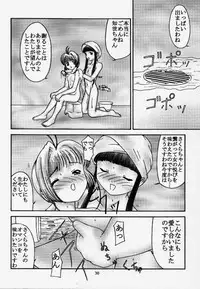 (SC8) [Parameter (S Parameter)] Card (Cardcaptor Sakura)