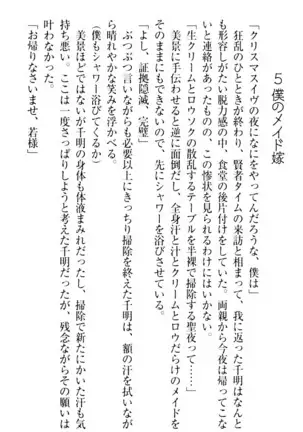 年上メイドの新婚日記