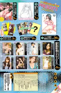 COMIC Shitsurakuten 2009-08