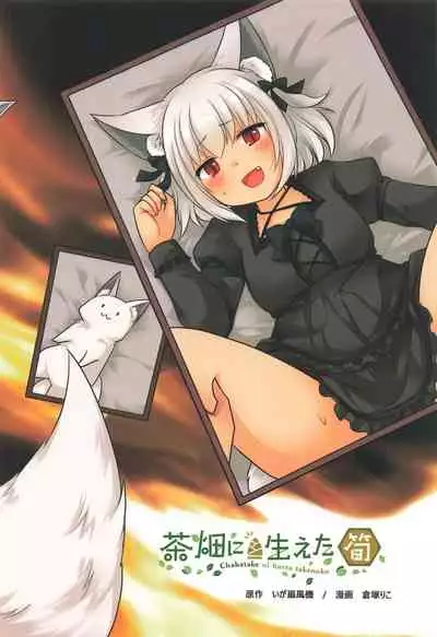 [Chabatake ni Haeta Takenoko (Kuratsuka Riko, Iga Senpuki)] Ippan Heishi Akira ga Shitennou Tamamo wo Tsukaima ni Dekita Wake