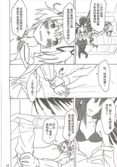 (C85) [Punyanica (Watanabe Ignica)] Homu no Ongaeshi (Puella Magi Madoka Magica) [Chinese] [Dokiki漢化組]