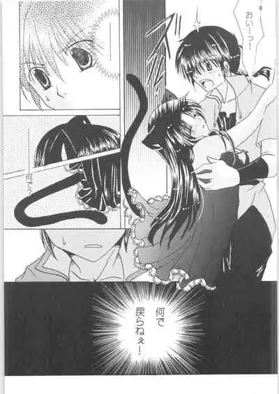 [RxA Supremacist (Yagami Raimu, Morisaki Yoshino, Kisaragi Mizuka)] Iinazuke ga Neko ni Narimashite. (Ranma 1/2)